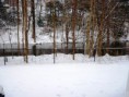 /album/neve-nos-eua/p1100824-jpg/